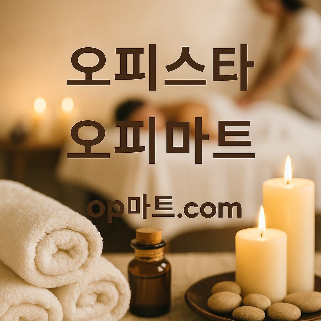 오피스타 이용자 행태 분석 – 모바일 기반 사용 패턴과 영향 요인