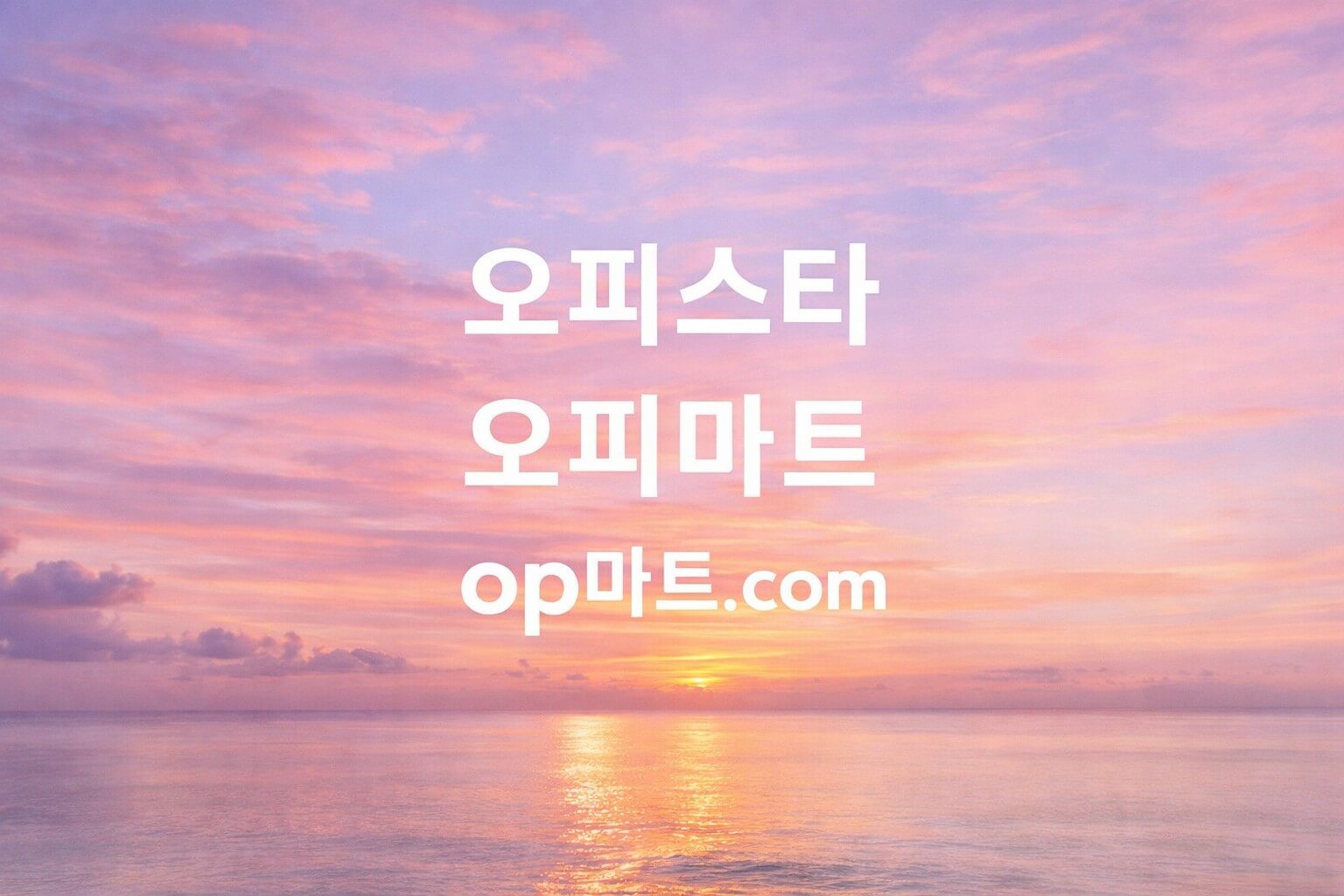 오피사이트 B2C 시스템의 구조와 운영 방식