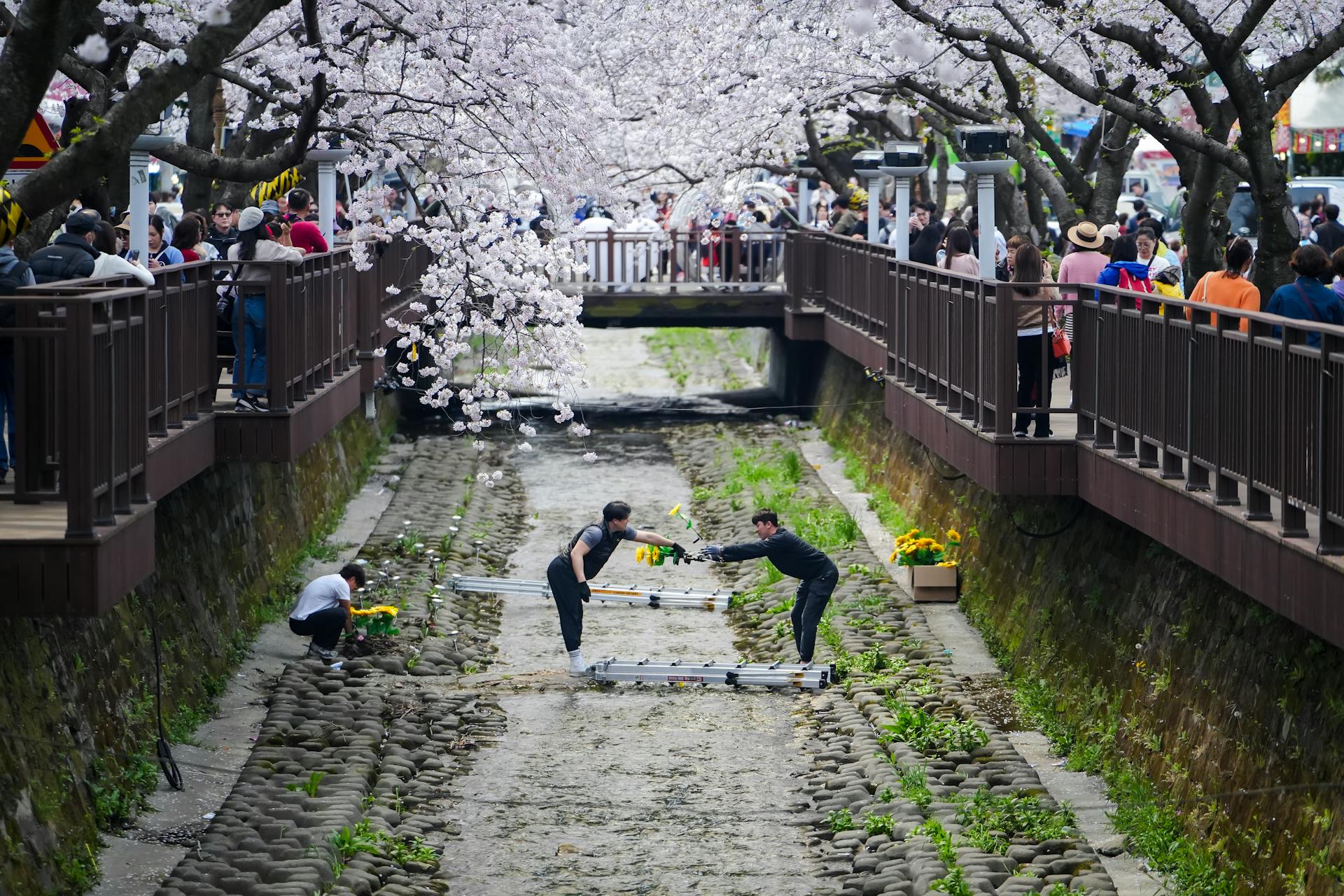 선릉·정릉