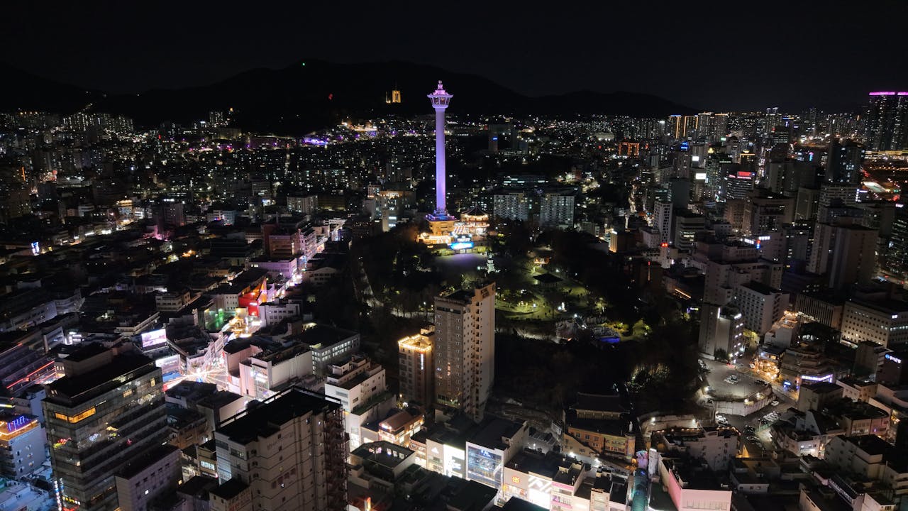 부산비비기 정보 이미지