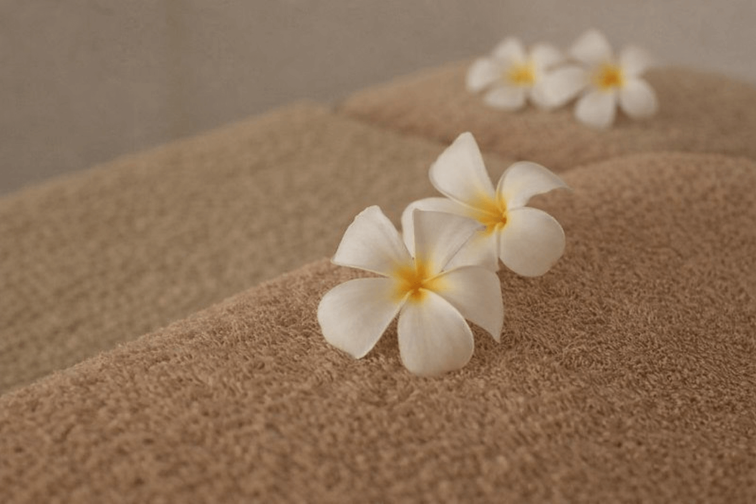 로미로미 테라피란 무엇인가